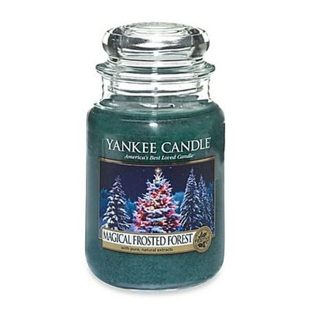 Indulge in the Delights of a Magical Frosted Forest Candle